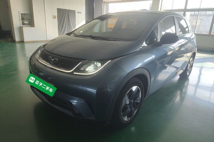 BYD Dolphin 2024 Honor Edition 420km Fashion Version