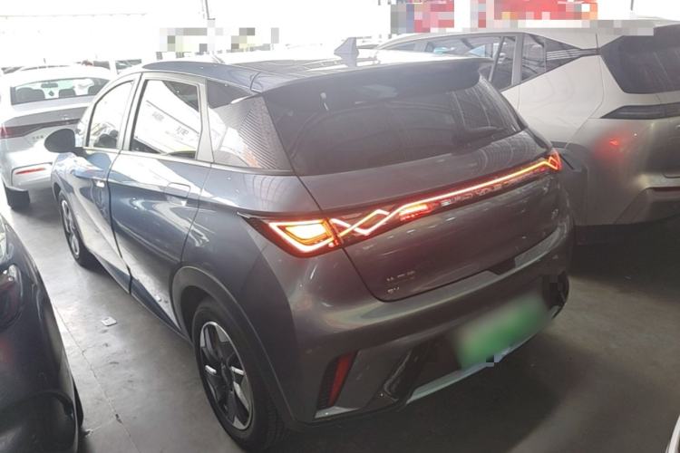 Used BYD Dolphin 2024 Honor Edition 420km Fashion Version Rear Left 45 Deg