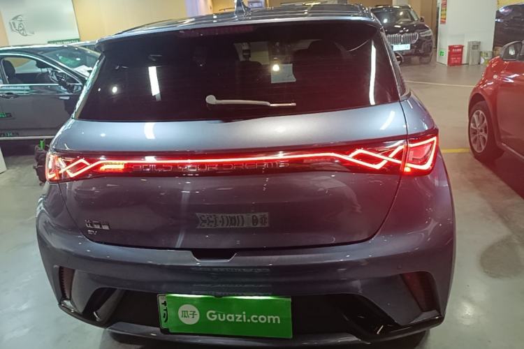 Used BYD Dolphin 2024 Honor Edition 420km Fashion Version Rear