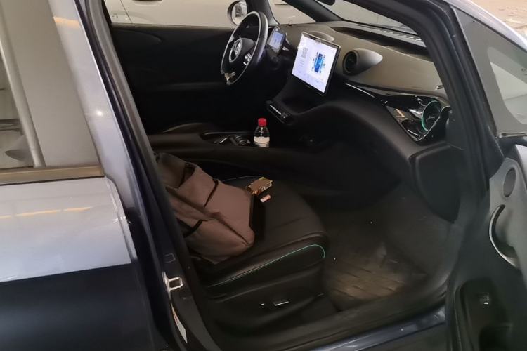 Used BYD Dolphin 2024 Honor Edition 420km Fashion Version Right Front Seat
