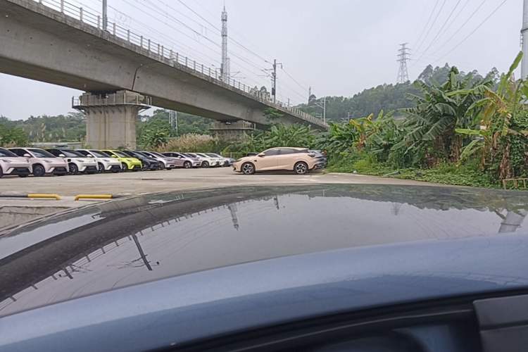 Used BYD Dolphin 2024 Honor Edition 420km Fashion Version Roof