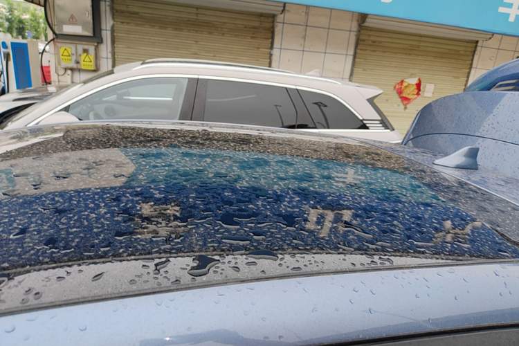 Used BYD Dolphin 2024 Honor Edition 420km Fashion Version Roof