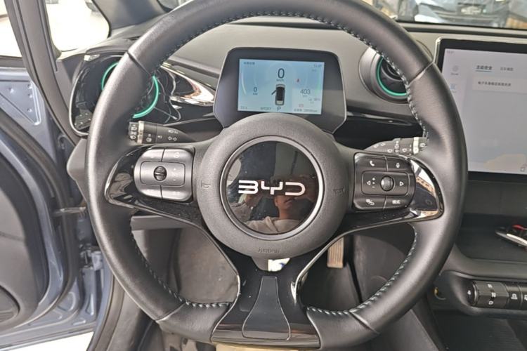Used BYD Dolphin 2024 Honor Edition 420km Fashion Version Steering Wheel