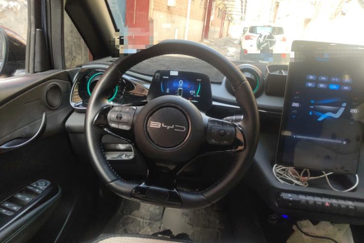 Used BYD Dolphin 2024 Honor Edition 420km Freedom Version Steering Wheel
