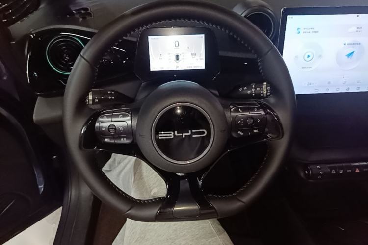 Used BYD Dolphin 2024 Honor Edition 420km Fashion Version Steering Wheel