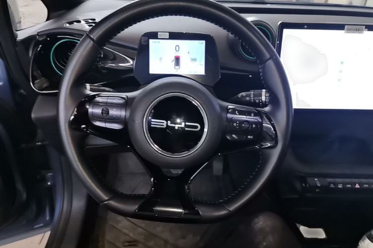 Used BYD Dolphin 2024 Honor Edition 420km Fashion Version Steering Wheel