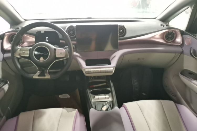 Used BYD Dolphin 2024 Honor Edition 420km Fashion Version Center Console