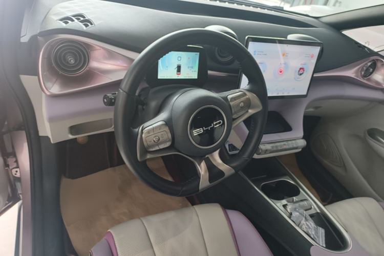Used BYD Dolphin 2024 Honor Edition 420km Fashion Version Center Console
