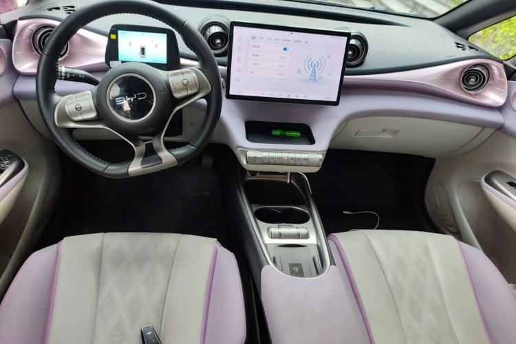 Used BYD Dolphin 2024 Honor Edition 420km Fashion Version Center Console