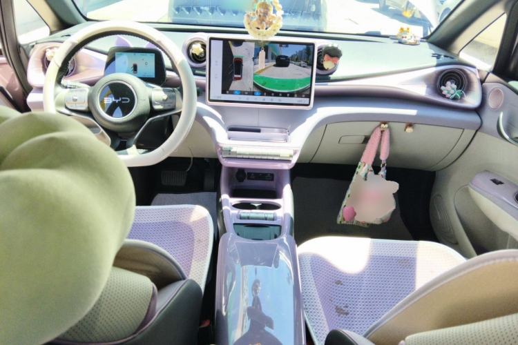 Used BYD Dolphin 2024 Honor Edition 420km Fashion Version Center Console