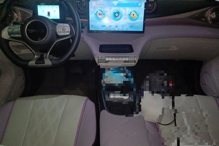 Used BYD Dolphin 2024 Honor Edition 420km Fashion Version Center Console