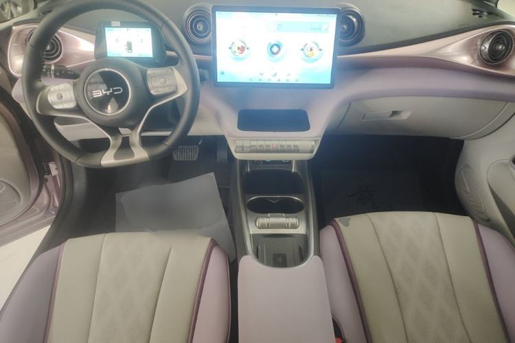 Used BYD Dolphin 2024 Honor Edition 420km Fashion Version Center Console
