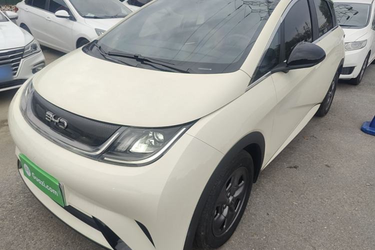 BYD Dolphin 2024 Honor Edition 302km Dynamic Version