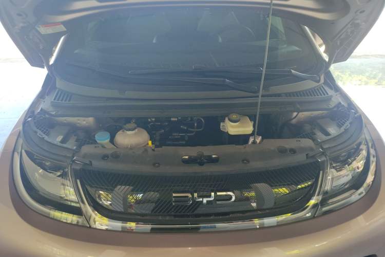 Used BYD Dolphin 2024 Honor Edition 420km Freedom Version Engine Bay
