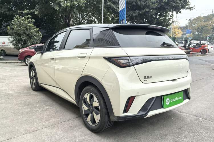 Used BYD Dolphin 2024 Honor Edition 420km Fashion Version Exterior 2