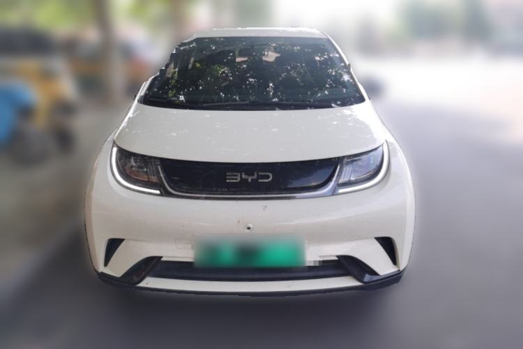 Used BYD Dolphin 2024 Honor Edition 420km Freedom Version Front