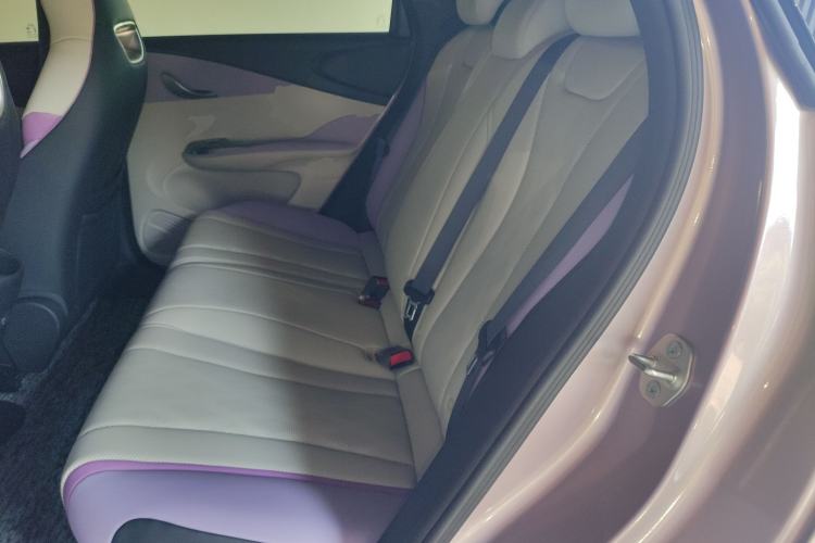 Used BYD Dolphin 2024 Honor Edition 420km Freedom Version Left Rear Seat