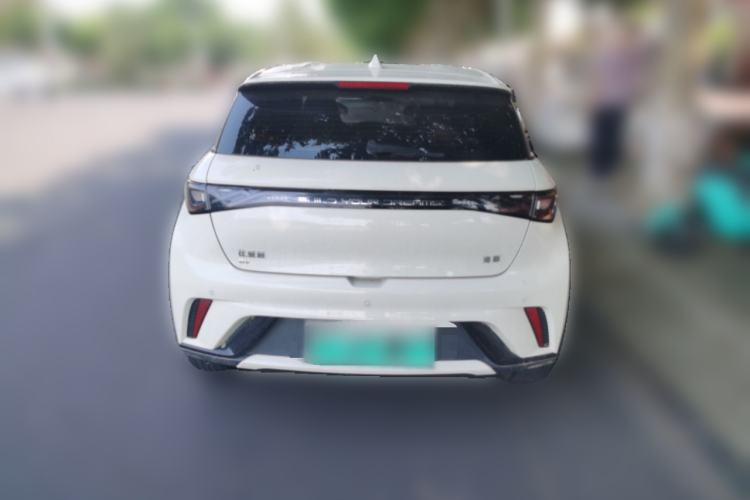 Used BYD Dolphin 2024 Honor Edition 420km Freedom Version Rear