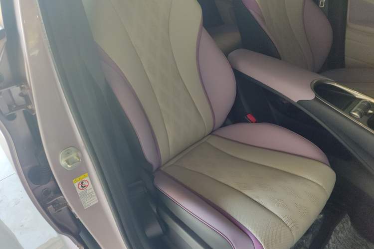 Used BYD Dolphin 2024 Honor Edition 420km Freedom Version Right Front Seat