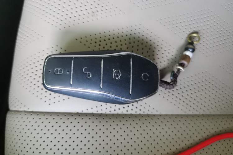 Used BYD Dolphin 2024 Honor Edition 420km Freedom Version Vehicle Key
