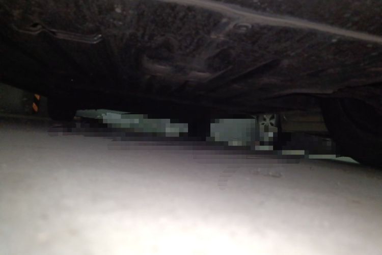 Used BYD Dolphin 2024 Honor Edition 420km Fashion Version Chassis Front