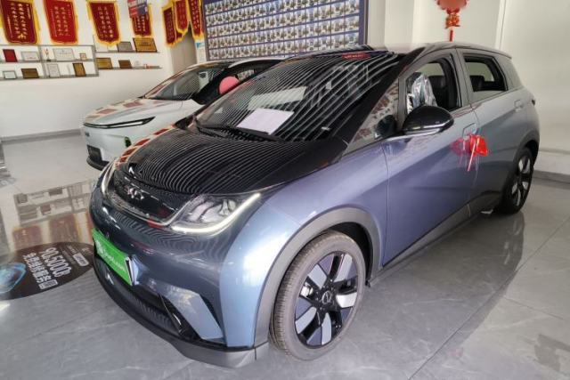 Used BYD Dolphin 2024 Honor Edition 401km Knight Edition