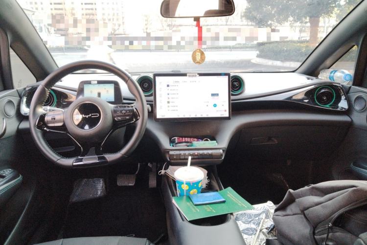 Used BYD Dolphin 2024 Honor Edition 420km Fashion Version Center Console