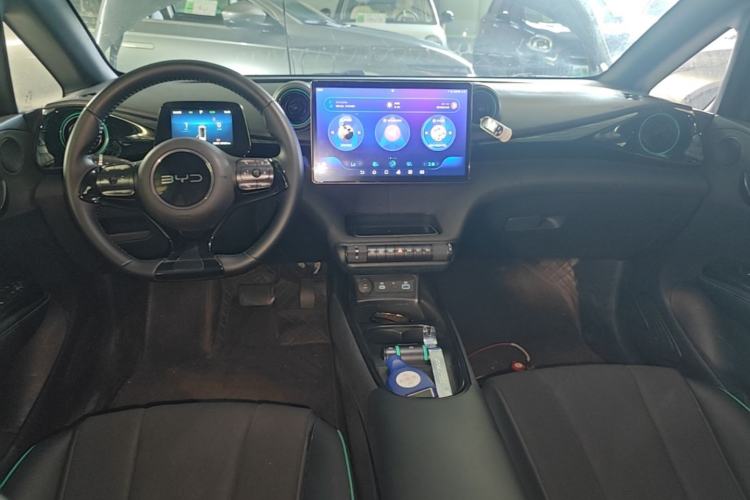 Used BYD Dolphin 2024 Honor Edition 420km Freedom Version Center Console