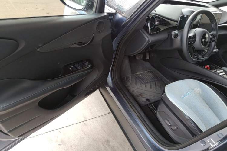 Used BYD Dolphin 2024 Honor Edition 420km Freedom Version Driver Seat
