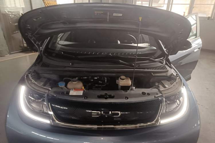 Used BYD Dolphin 2024 Honor Edition 420km Fashion Version Engine Bay