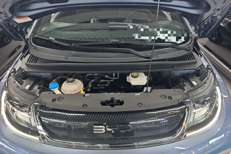 Used BYD Dolphin 2024 Honor Edition 420km Fashion Version Engine Bay