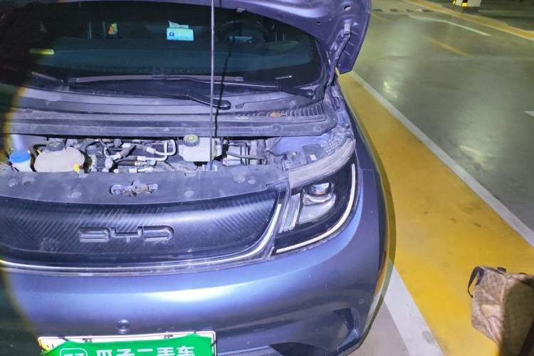 Used BYD Dolphin 2024 Honor Edition 420km Fashion Version Engine Bay Left