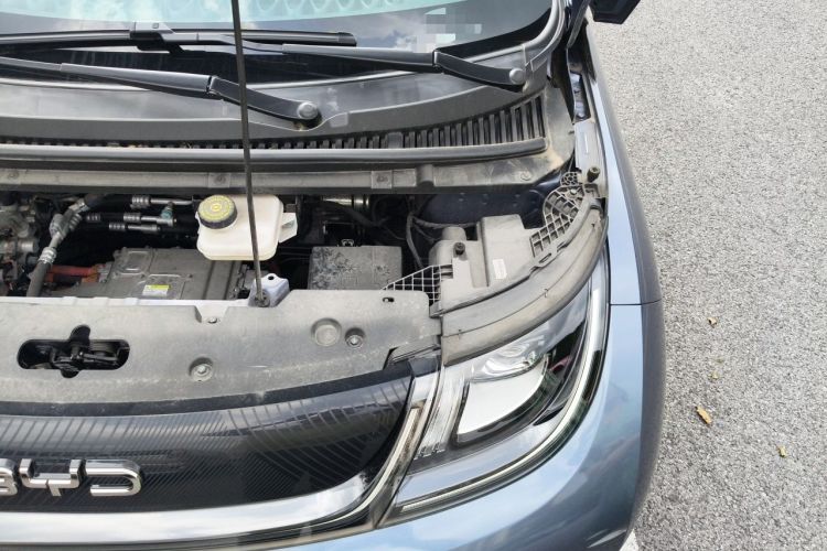 Used BYD Dolphin 2024 Honor Edition 420km Fashion Version Engine Bay Left