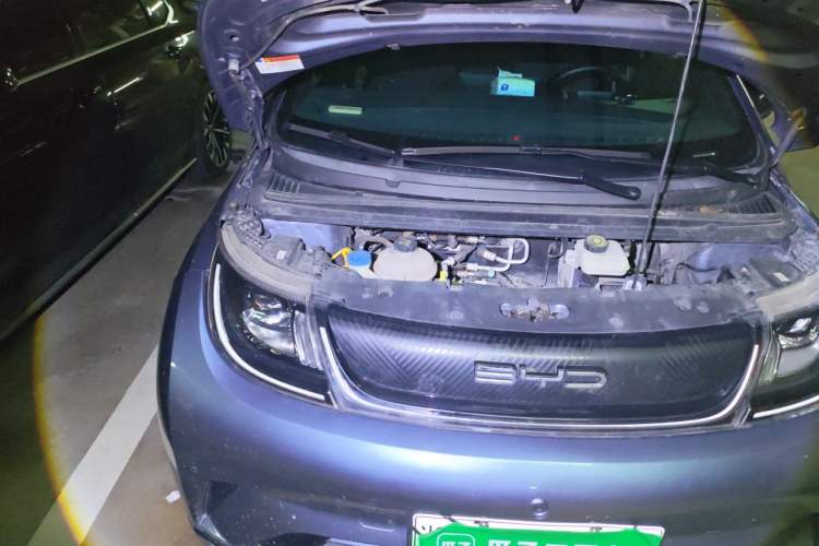 Used BYD Dolphin 2024 Honor Edition 420km Fashion Version Engine Bay Right