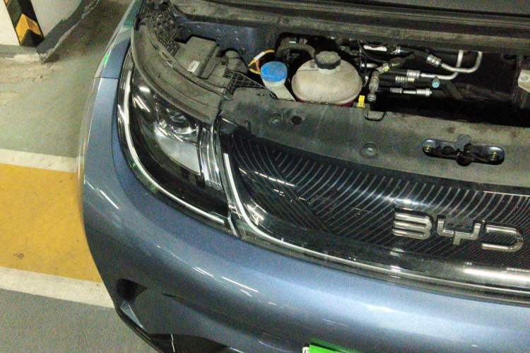 Used BYD Dolphin 2024 Honor Edition 420km Fashion Version Engine Bay Right