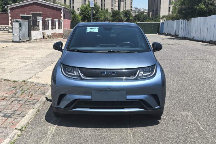Used BYD Dolphin 2024 Honor Edition 420km Fashion Version Exterior 1
