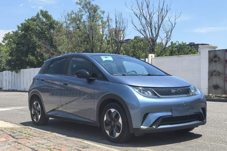 Used BYD Dolphin 2024 Honor Edition 420km Fashion Version Exterior 2