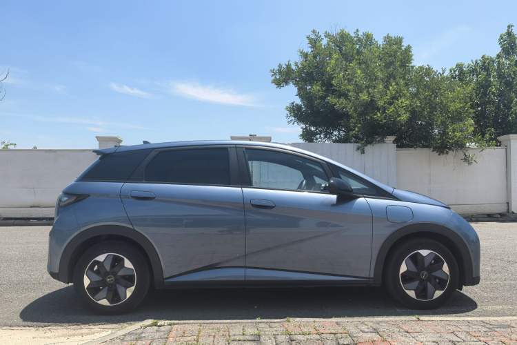 Used BYD Dolphin 2024 Honor Edition 420km Fashion Version Exterior 3