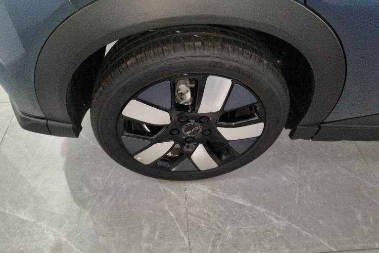 Used BYD Dolphin 2024 Honor Edition 401km Knight Edition Exterior 5