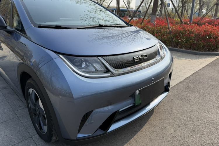 Used BYD Dolphin 2024 Honor Edition 420km Freedom Version Exterior 5