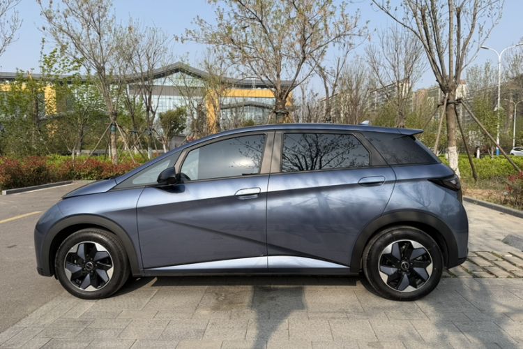 Used BYD Dolphin 2024 Honor Edition 420km Freedom Version Exterior 6