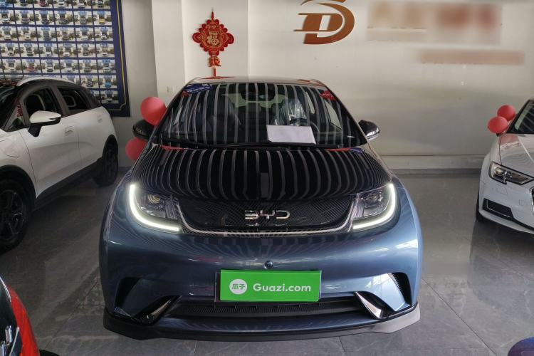 Used BYD Dolphin 2024 Honor Edition 401km Knight Edition Front