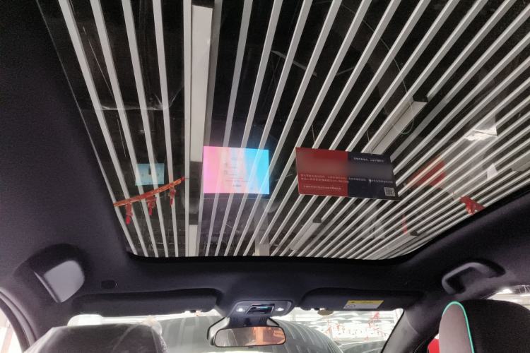 Used BYD Dolphin 2024 Honor Edition 401km Knight Edition Headliner