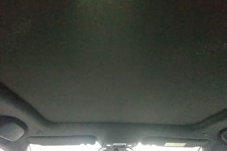 Used BYD Dolphin 2024 Honor Edition 401km Knight Edition Headliner