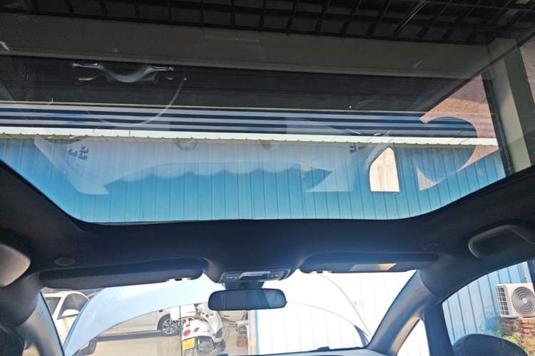 Used BYD Dolphin 2024 Honor Edition 420km Fashion Version Headliner