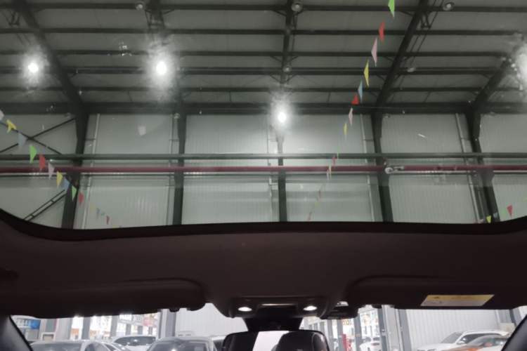 Used BYD Dolphin 2024 Honor Edition 420km Fashion Version Headliner