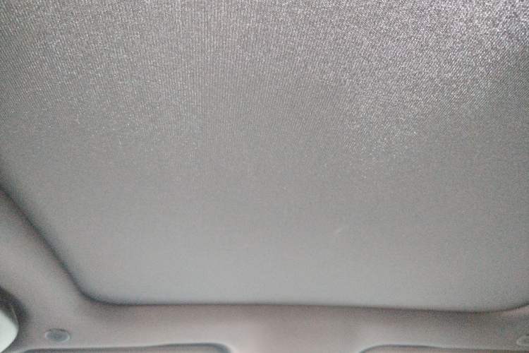 Used BYD Dolphin 2024 Honor Edition 420km Fashion Version Headliner