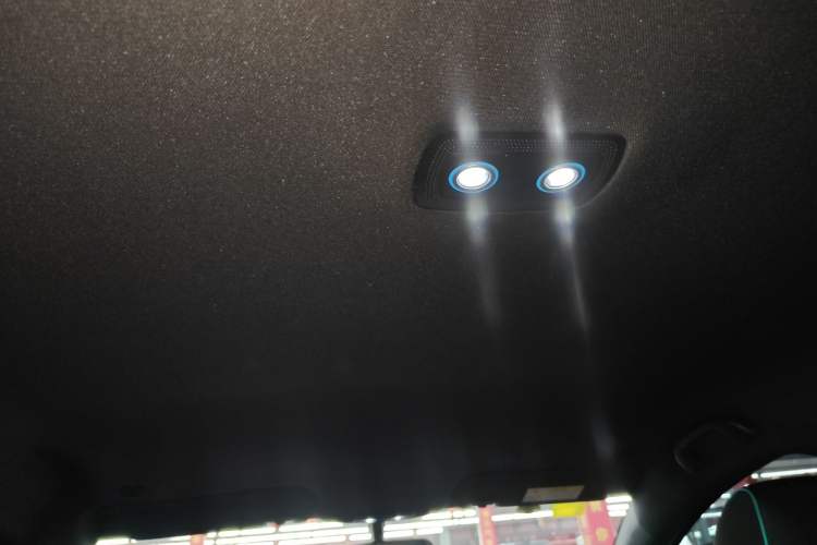 Used BYD Dolphin 2024 Honor Edition 420km Freedom Version Headliner