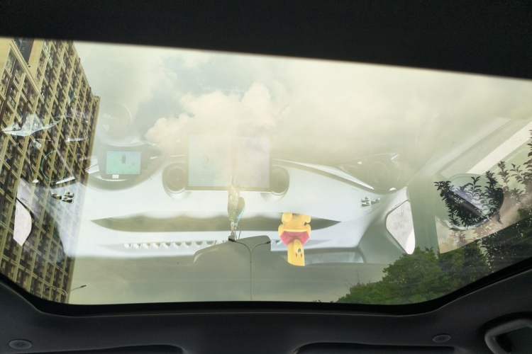 Used BYD Dolphin 2024 Honor Edition 420km Fashion Version Headliner