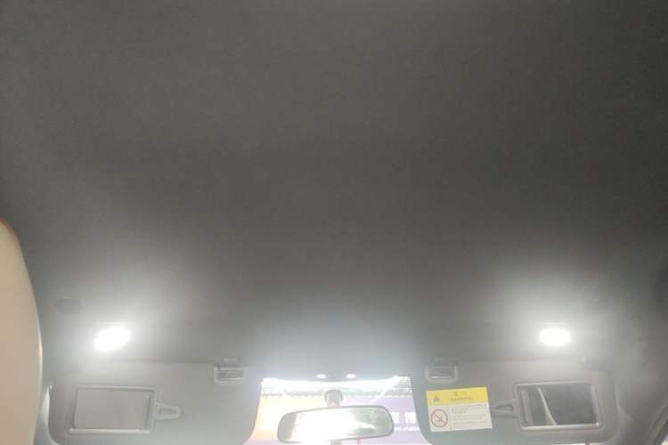 Used BYD Dolphin 2024 Honor Edition 420km Freedom Version Headliner